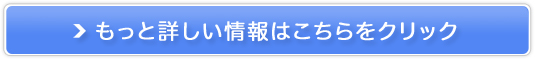�|�\�l�g�p�r���v���b�N�o�[�O�̔��T�C�g��